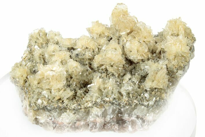 Sparkling Bladed Barite Crystal Cluster - Moldova #301443